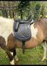 Sella da dressage   16.5" - 2022