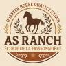 AS Ranch - Ecurie de la Frissonnière 