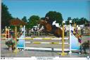 Cavalla PFS Pony Francese da Sella Noleggio 2015 Sauro ,  IRAM D' AUDES WB