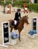 Intero PFS Pony Francese da Sella In vendita 2017 Crine lavato