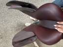 Sella da salto ostacoli CWD  17.5" - 2023