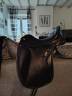 Sella da dressage Zaldi  17" - 2019