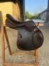 Sella da salto ostacoli Prestige Italia Passion jump 17" - 2021