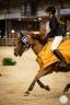Castrone PFS Pony Francese da Sella In vendita 2011 Sauro ,  jocker de treho
