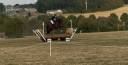 Castrone BWP Cavallo da Sangue Belgio In vendita 2020 Baio ,  Quatoon de muze