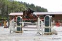 Cavalla Sella Francese In vendita 2018 Baio ,  OGANO SITTE