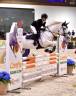 PONY IRLANDESE, anno 2011, 148cm