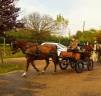 Attacchi - Calesse   