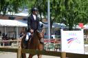 Cavalla Sella Francese In vendita 2012 Baio ,  EPSOM GESMERAY