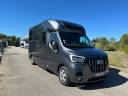 Van per Cavalli STX  2022 Occasione