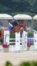 Cavallo Italiano da salto
