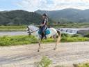 Pony dressage 