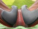 Sella da dressage   16.5" - 2023