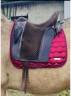Sella spagnola Zaldi  18.5" - 2016