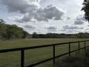 Centro di stagione cavallo In vendita Calvados
