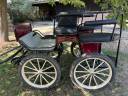Attacchi - Marathon ricreazione Pouvreau Dresseuse 1 grand poney 