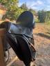 Sella da dressage Equipe  17.5" - 2022