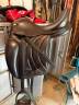 Sella da dressage Eric Thomas  17" - 2020