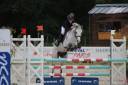 Castrone PFS Pony Francese da Sella Noleggio 2011 Grigio