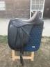 Sella da dressage Norton  17.5" - 2023