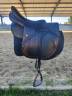 Sella da salto ostacoli Equipe  17.5" - 2019