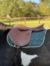 Sella mista Wintec  17.5" - 2015
