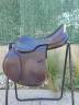 Sella da salto ostacoli Prestige Italia Paris classic  17" - 2022