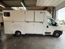 Van per Cavalli AP Petit Peugeot Boxer L4   2020 Nuovo