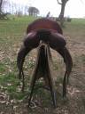 Sella da dressage  Thesee 17" - 2020