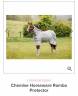  Horseware Occasione