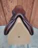 Sella da salto ostacoli Forestier Calgary  17.5" - 2005