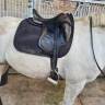 Sella da dressage Belloir  17.5" - 2000