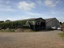 Azienda agricola In vendita Orne