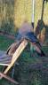Sella mista Thorowgood  Maxam haflinger  17.5" - 2010