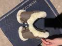  Veredus Occasione