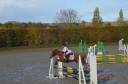 Castrone Welsh Poney (Sezione C) In vendita 2016 Sauro