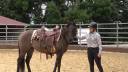 Cavalla Quarter Horse In vendita 2020 Grullo ,  JAZ GC DE PLATA