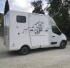 Van per Cavalli Renault Master 2013 Occasione