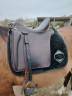 Sella da dressage Zaldi Lusitanus  17.5" - 2024