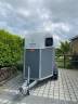 Trailer Bockmann  2 Cavalli 2017 Occasione