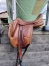 Sella da dressage Arion  18.5" - 2024