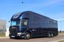 Camion per Cavalli STX STX 6 CHEVAUX MEGA POP OUT 2011 Occasione