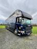 Camion per Cavalli Scania P380 2010 Occasione