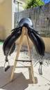 Sella mista  Selle Claridge House Soft Seat  17.5" - 2018