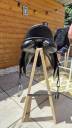 Sella mista  Selle Claridge House Soft Seat  17.5" - 2018