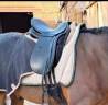 Sella da dressage Stubben  17" - 2013