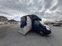 Van per Cavalli Iveco Daily  2009 Occasione