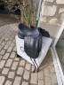 Sella da dressage GBS  17.5" - 2020
