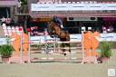 Castrone sBs Cavallo da Sport Belgio In vendita 2016 Baio