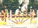 Iwan de Villate - PFS Pony Francese da Sella 1996 ,  VVHISKY VIF ARGENT